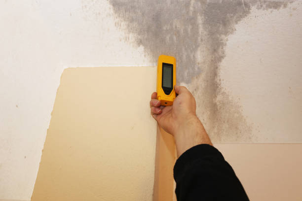 Asbestos and Lead Testing During Mold Inspection in Port Norris, NJ