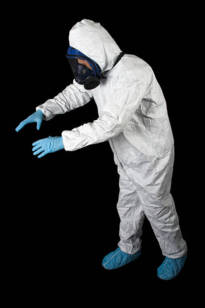 Best Asbestos and Lead Testing During Mold Inspection  in Port Norris, NJ