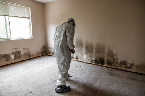 Best Crawl Space Mold Remediation  in Port Norris, NJ