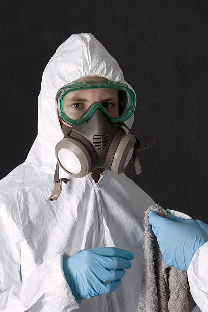 Best Real Estate Mold Inspection  in Port Norris, NJ